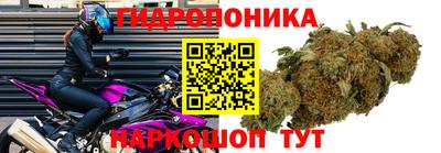 мяу мяу мука Краснознаменск