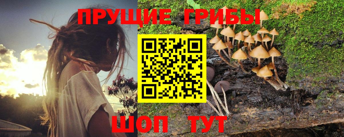 Галлюциногенные грибы прущие грибы  Вход с VPN  Псилоцибиновые грибы Magic Shrooms  где найти наркотики  Волжск 